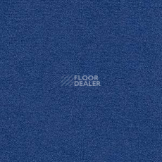 Ковролин Radici Nexus Royal 8264 фото 1 | FLOORDEALER